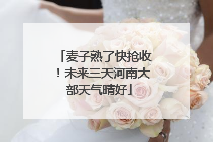 麦子熟了快抢收！未来三天河南大部天气晴好