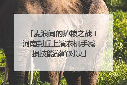 麦浪间的护粮之战！河南封丘上演农机手减损技能巅峰对决