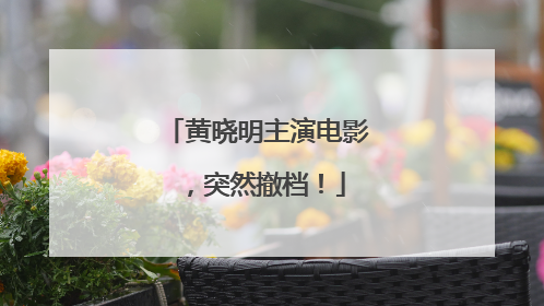 黄晓明主演电影，突然撤档！