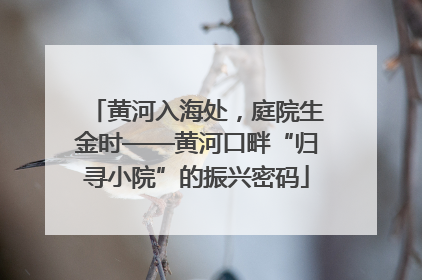 黄河入海处，庭院生金时——黄河口畔“归寻小院”的振兴密码