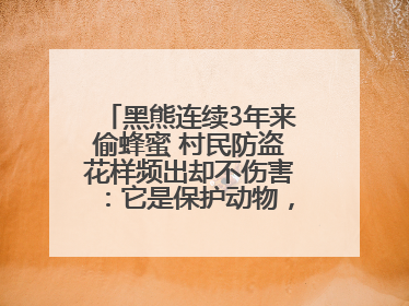 黑熊连续3年来偷蜂蜜 村民防盗花样频出却不伤害：它是保护动物，我有保险兜底