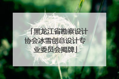 黑龙江省勘察设计协会冰雪创意设计专业委员会揭牌
