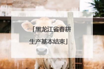 黑龙江省春耕生产基本结束