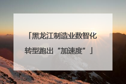 黑龙江制造业数智化转型跑出“加速度”