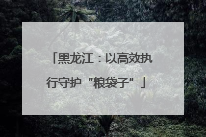 黑龙江：以高效执行守护“粮袋子”