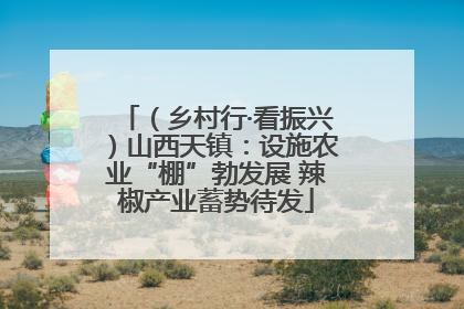 （乡村行·看振兴）山西天镇：设施农业“棚”勃发展 辣椒产业蓄势待发