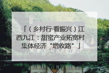 （乡村行·看振兴）江西九江：甜蜜产业拓宽村集体经济“增收路”