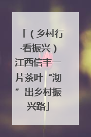 （乡村行·看振兴）江西信丰一片茶叶“沏”出乡村振兴路