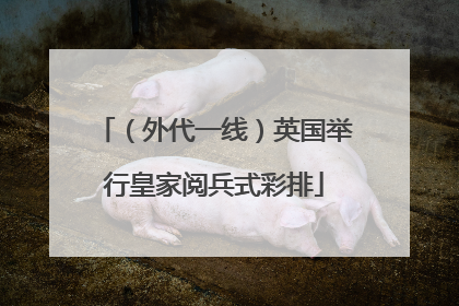 （外代一线）英国举行皇家阅兵式彩排