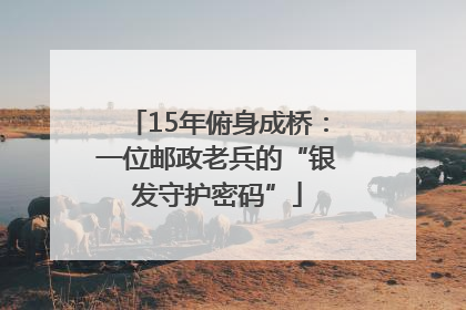15年俯身成桥：一位邮政老兵的“银发守护密码”