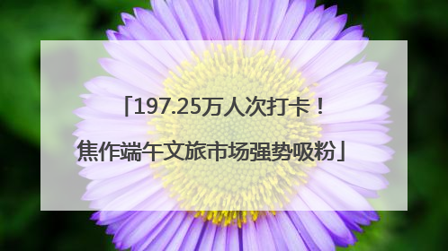 197.25万人次打卡！焦作端午文旅市场强势吸粉