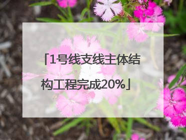 1号线支线主体结构工程完成20%