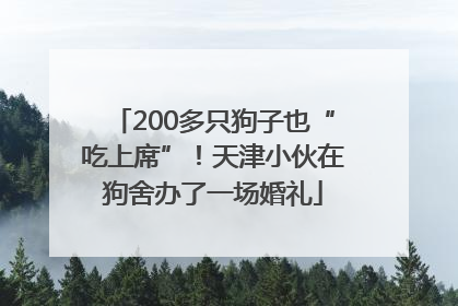 200多只狗子也“吃上席”！天津小伙在狗舍办了一场婚礼