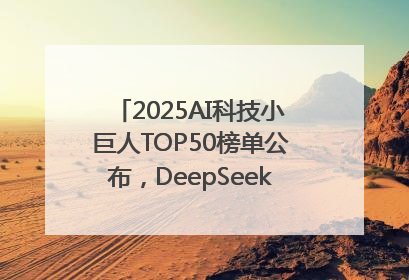 2025AI科技小巨人TOP50榜单公布，DeepSeek、宇树科技、蘑菇车联等企业荣誉上榜