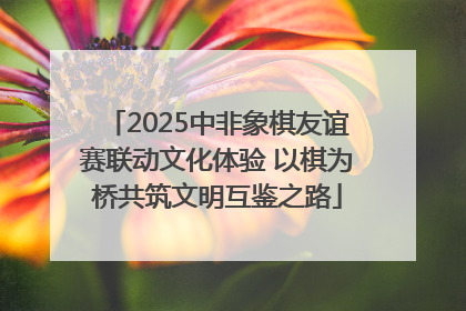 2025中非象棋友谊赛联动文化体验 以棋为桥共筑文明互鉴之路