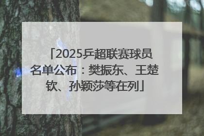 2025乒超联赛球员名单公布：樊振东、王楚钦、孙颖莎等在列