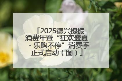 2025德兴提振消费年暨“狂欢盛夏・乐购不停”消费季正式启动（图）