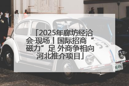 2025年廊坊经洽会·现场丨国际招商“磁力”足 外商争相向河北推介项目