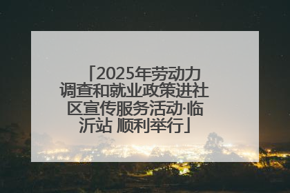 2025年劳动力调查和就业政策进社区宣传服务活动·临沂站 顺利举行