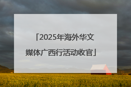 2025年海外华文媒体广西行活动收官