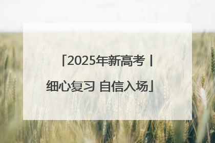 2025年新高考丨细心复习 自信入场