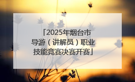 2025年烟台市导游（讲解员）职业技能竞赛决赛开赛
