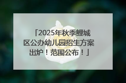 2025年秋季鲤城区公办幼儿园招生方案出炉！范围公布！