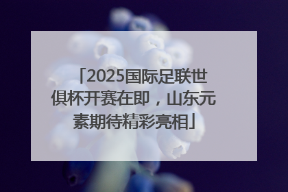 2025国际足联世俱杯开赛在即，山东元素期待精彩亮相