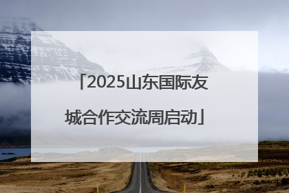2025山东国际友城合作交流周启动