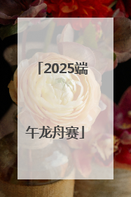 2025端午龙舟赛