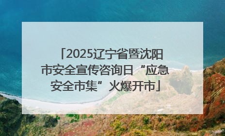 2025辽宁省暨沈阳市安全宣传咨询日“应急安全市集”火爆开市