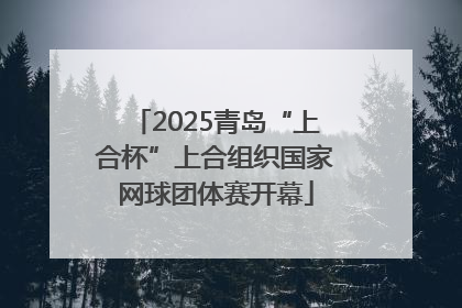 2025青岛“上合杯”上合组织国家网球团体赛开幕