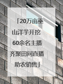 20万亩巫山洋芋开挖 60余名主播齐聚田间直播助农销售
