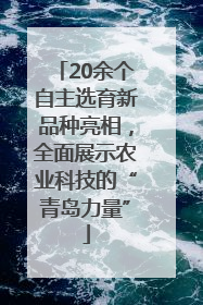 20余个自主选育新品种亮相，全面展示农业科技的“青岛力量”