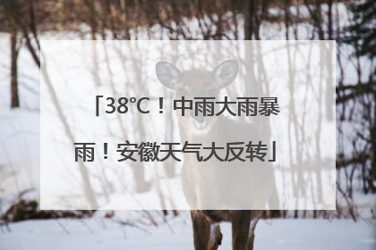 38℃！中雨大雨暴雨！安徽天气大反转