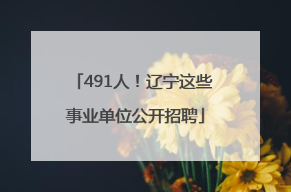 491人！辽宁这些事业单位公开招聘