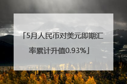 5月人民币对美元即期汇率累计升值0.93%