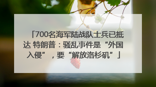 700名海军陆战队士兵已抵达 特朗普：骚乱事件是“外国入侵”，要“解放洛杉矶”