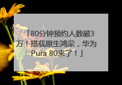 80分钟预约人数破3万！搭载原生鸿蒙，华为Pura 80来了！