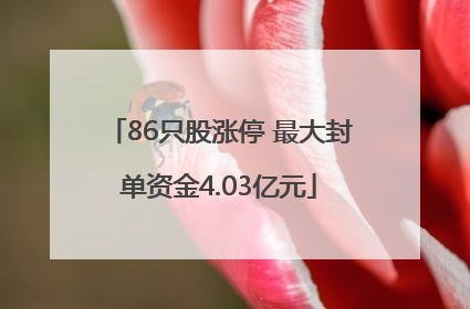 86只股涨停 最大封单资金4.03亿元