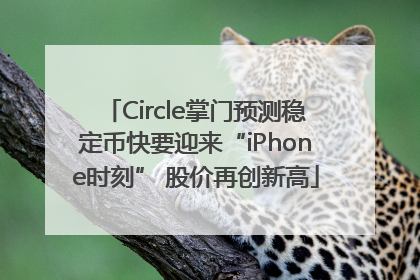 Circle掌门预测稳定币快要迎来“iPhone时刻” 股价再创新高