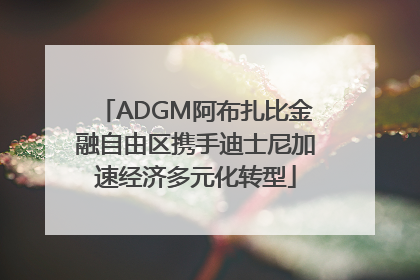 ADGM阿布扎比金融自由区携手迪士尼加速经济多元化转型