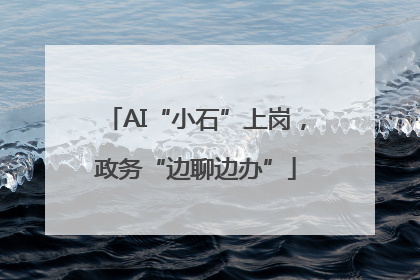 AI“小石”上岗，政务“边聊边办”