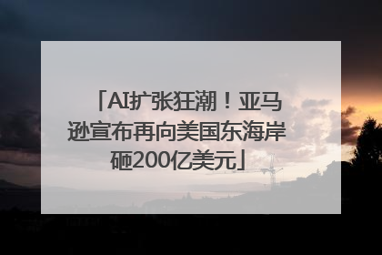 AI扩张狂潮！亚马逊宣布再向美国东海岸砸200亿美元