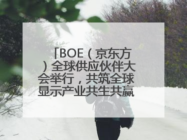 BOE（京东方）全球供应伙伴大会举行，共筑全球显示产业共生共赢新格局