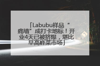 Labubu样品“痛墙”成打卡地标！开业4天已被挤爆，堪比早高峰菜市场